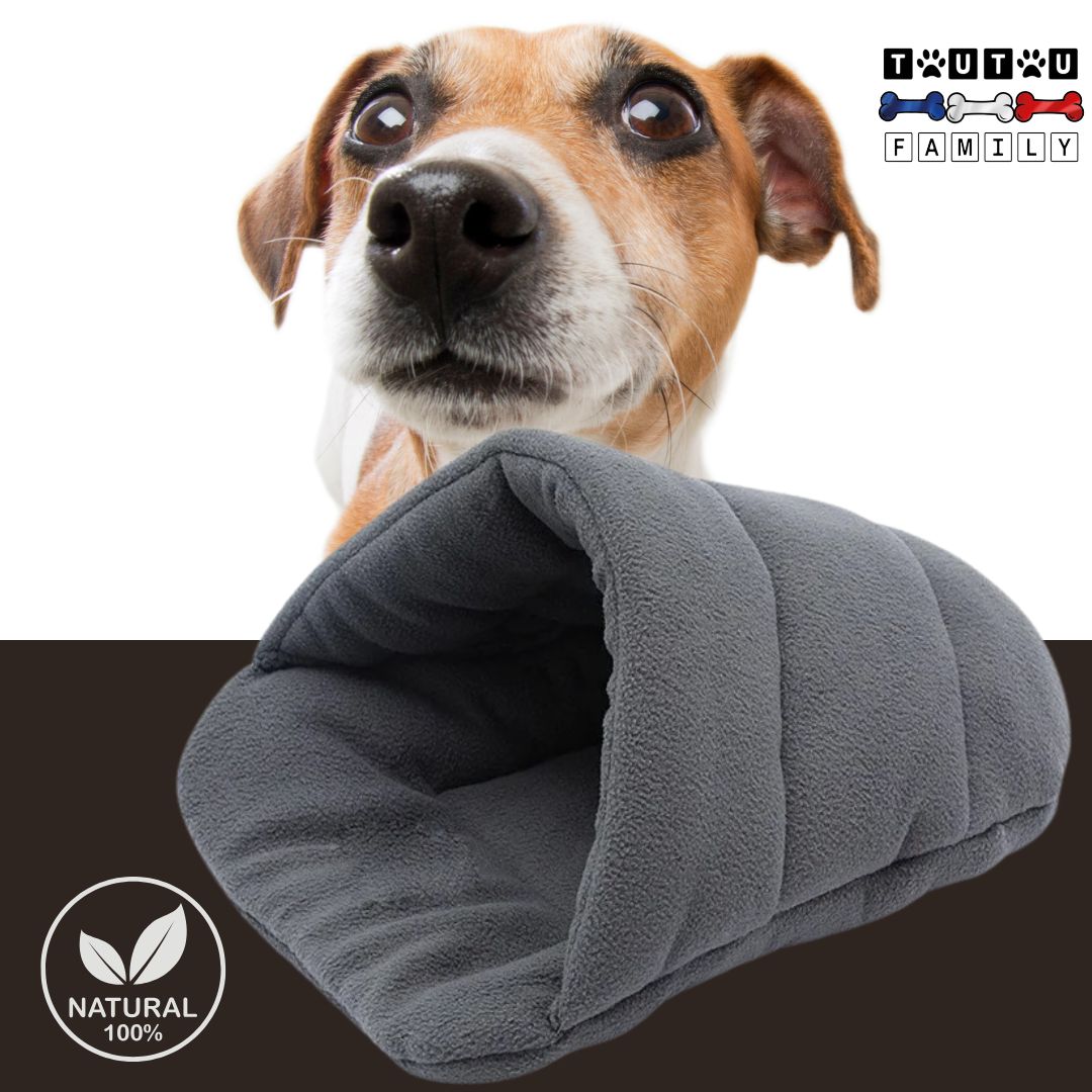 Panier-pour-chien-anti-stress-gris-un-jack-russel-chiot-avec-sa-niche-intérieure-chien-de-couleur-gris