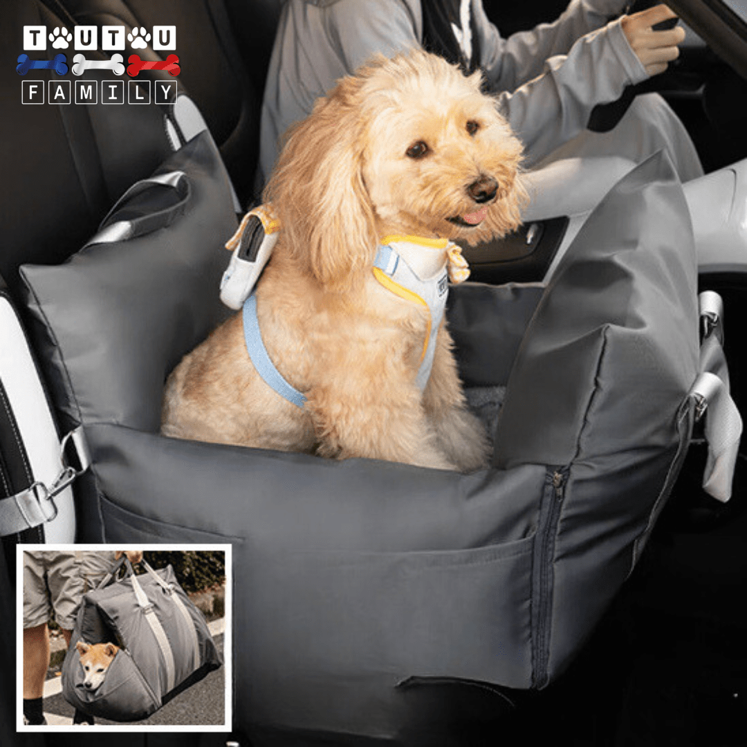 Panier voiture chien - PanierToutou™