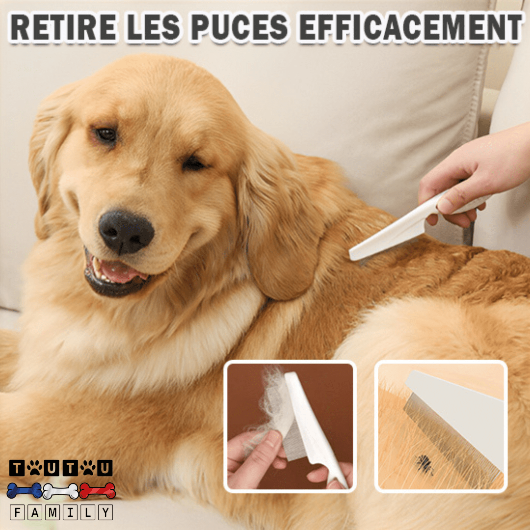 Peigne anti puce - PeigneToutou™