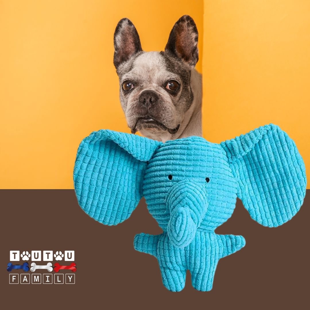 Peluche-chien-sonore-éléphant-jouet-à -mùcher-sans-danger-préserve-vos-meubles