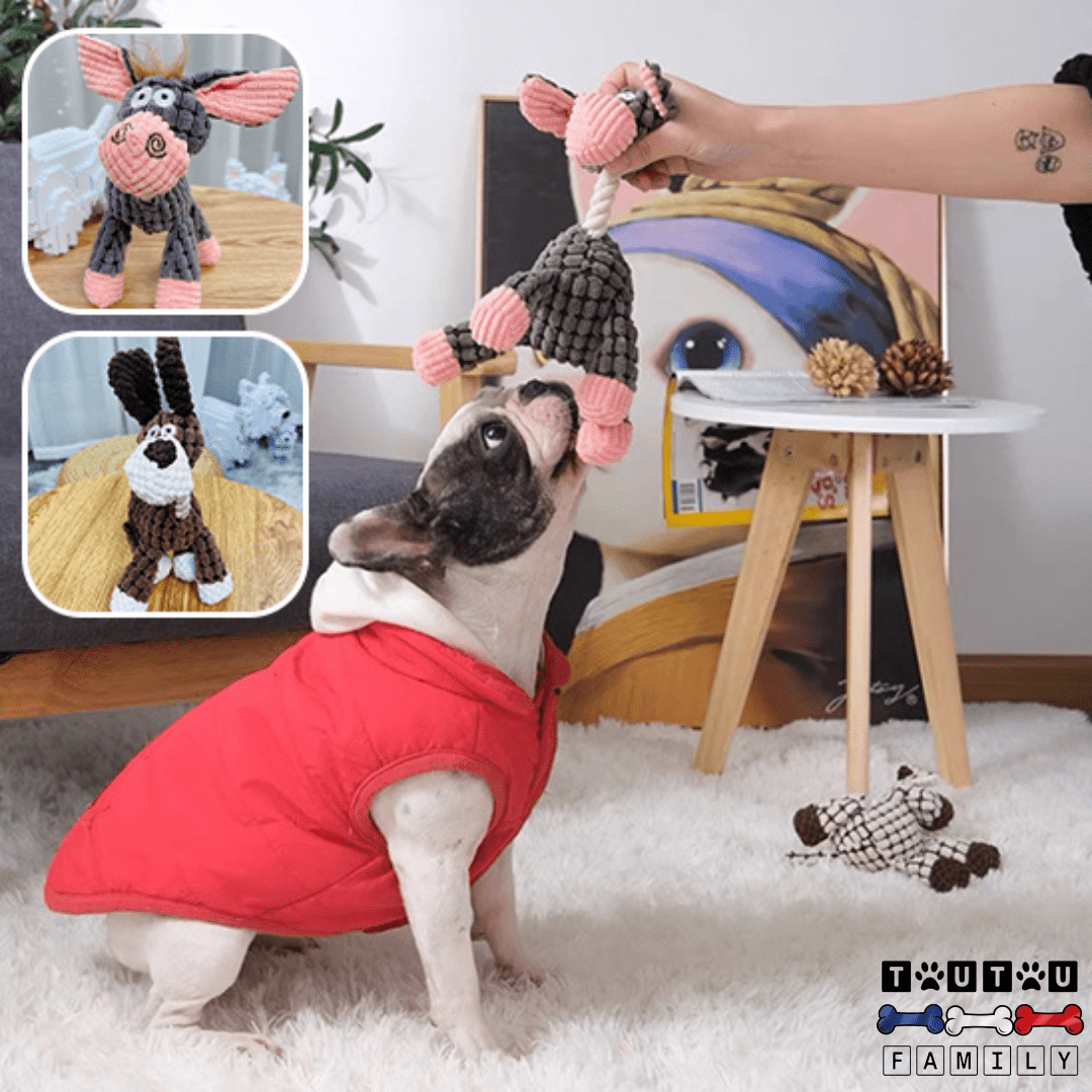 peluche-pour-chien-durable