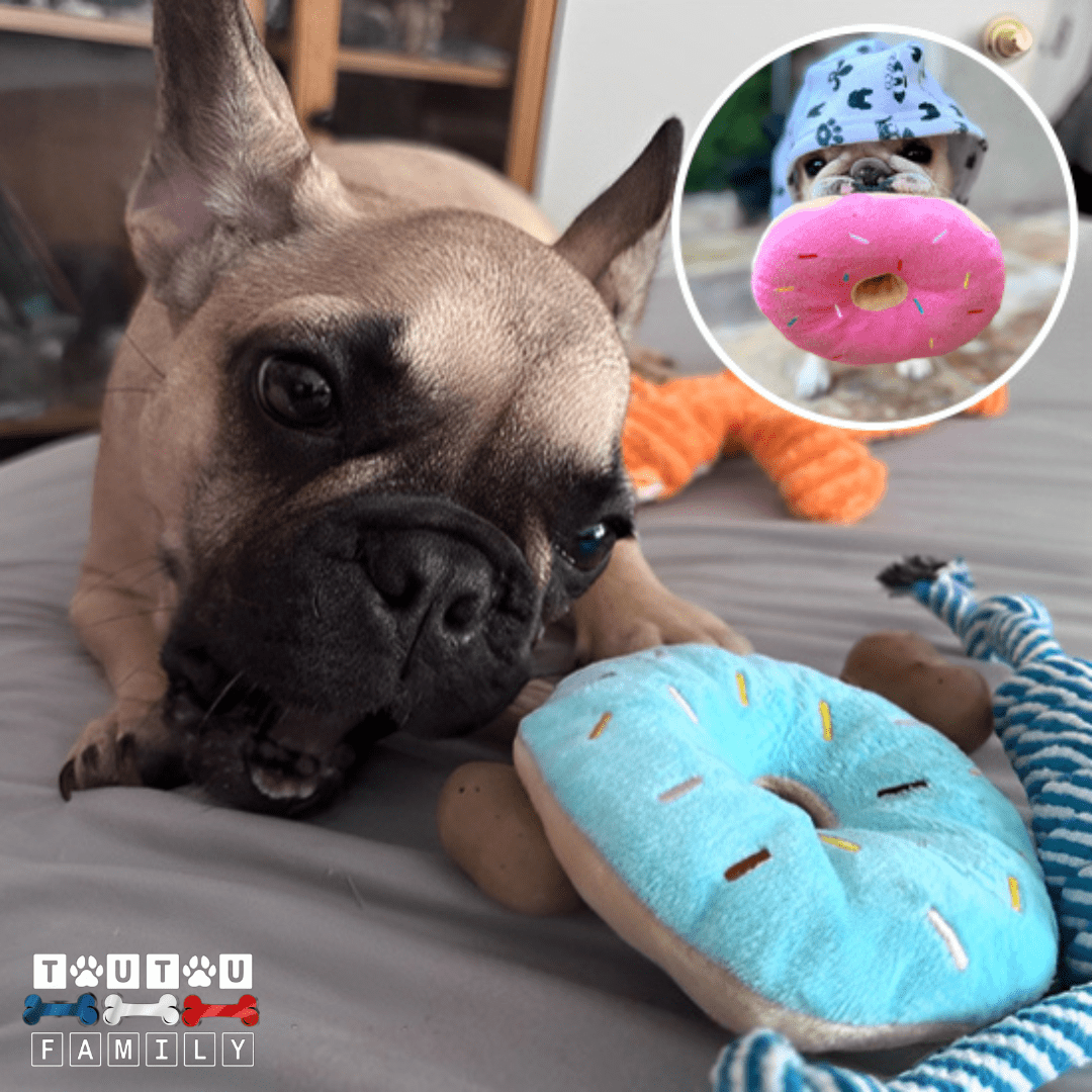 peluche-pour-chien