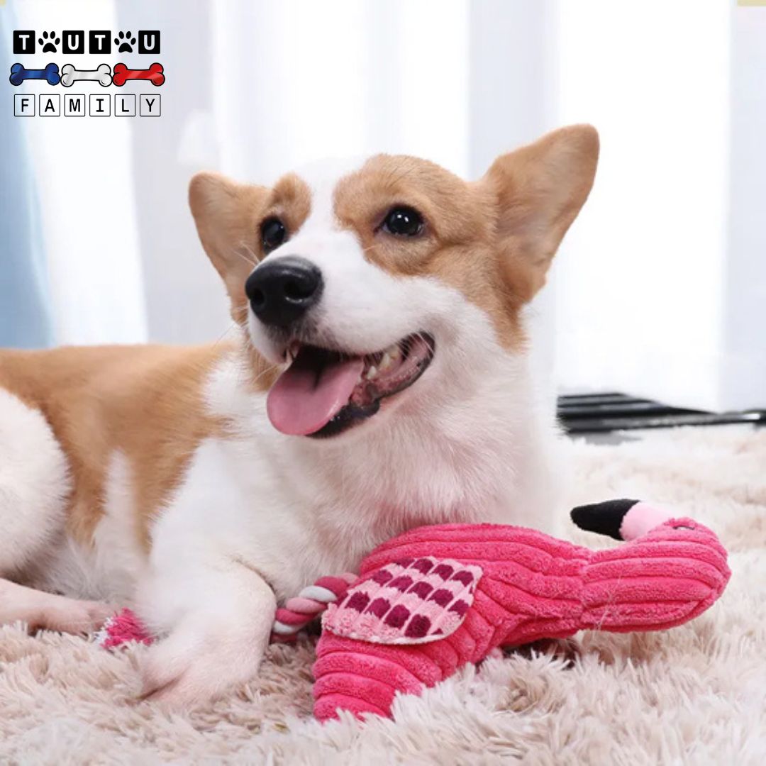 peluche-pour-chien-chiot-flamant-jeu-interactif-peluche-avec-deux-corde