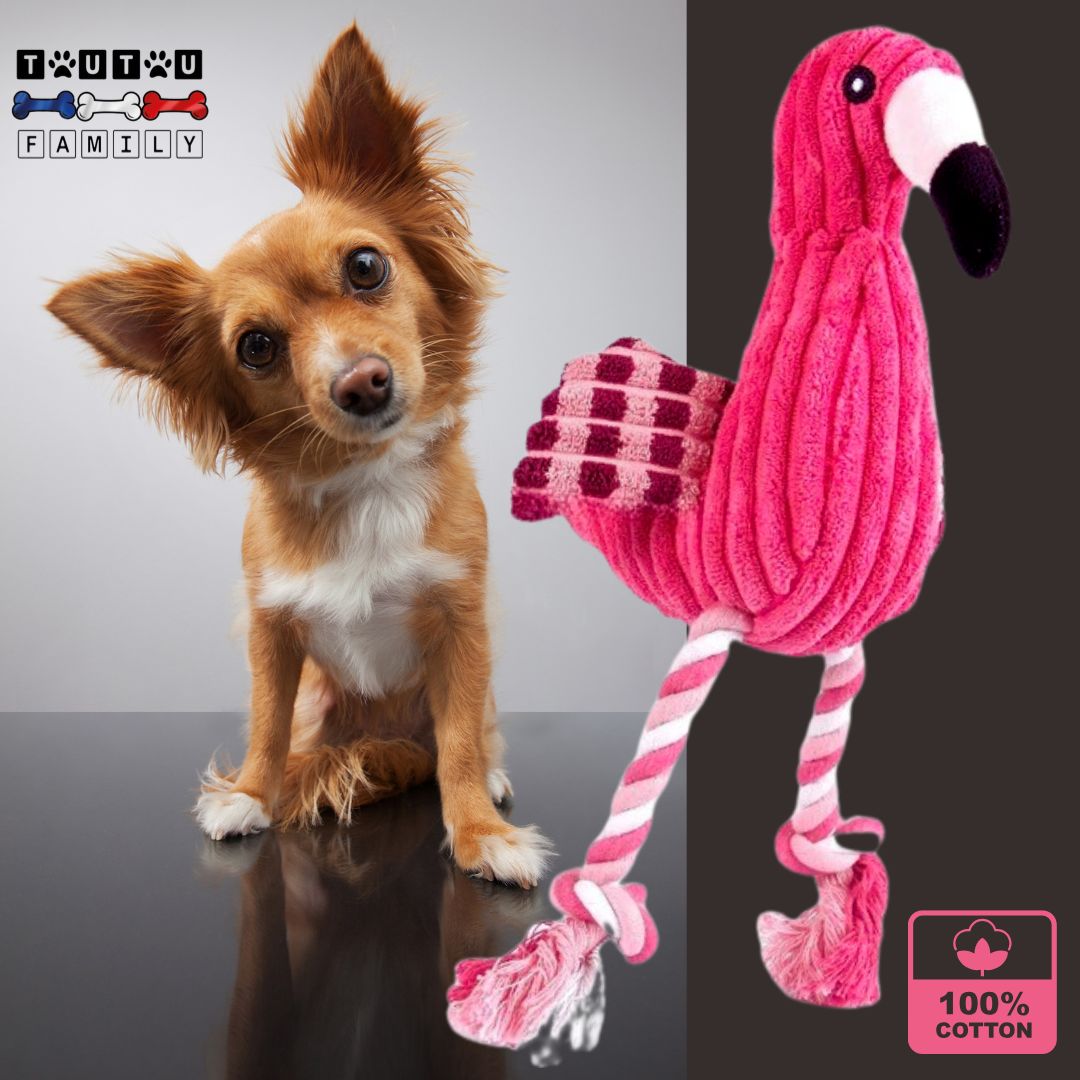 peluche-pour-chien-avec-corde-coton-pour-chiot-et-chien-de-petite-taille