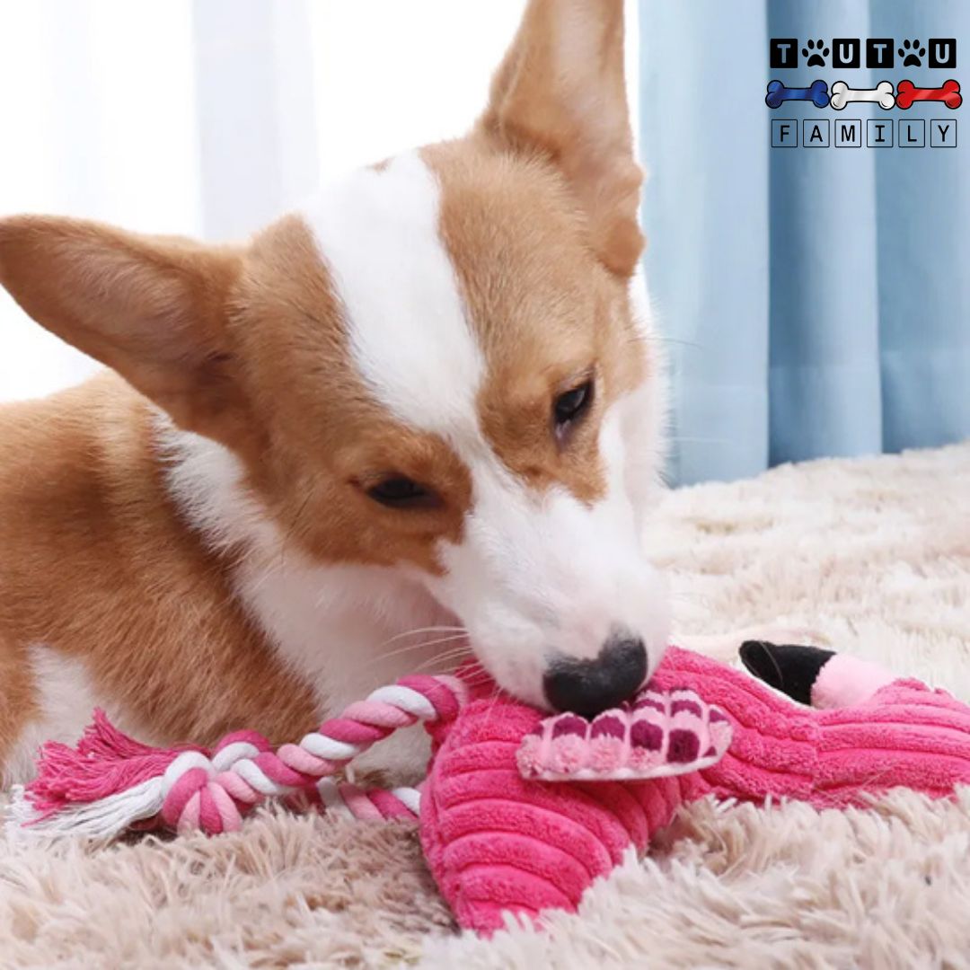 peluche-pour-chien-jeu-a-la-corde-en-coton-haute-densité-très-résistant-pour-jouer-au-remorquage