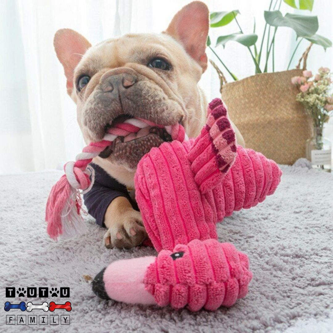 peluche-pour-chien-chiot-flamant-jouet-pour-chien-à-macher-réconfortant-et-sans-danger