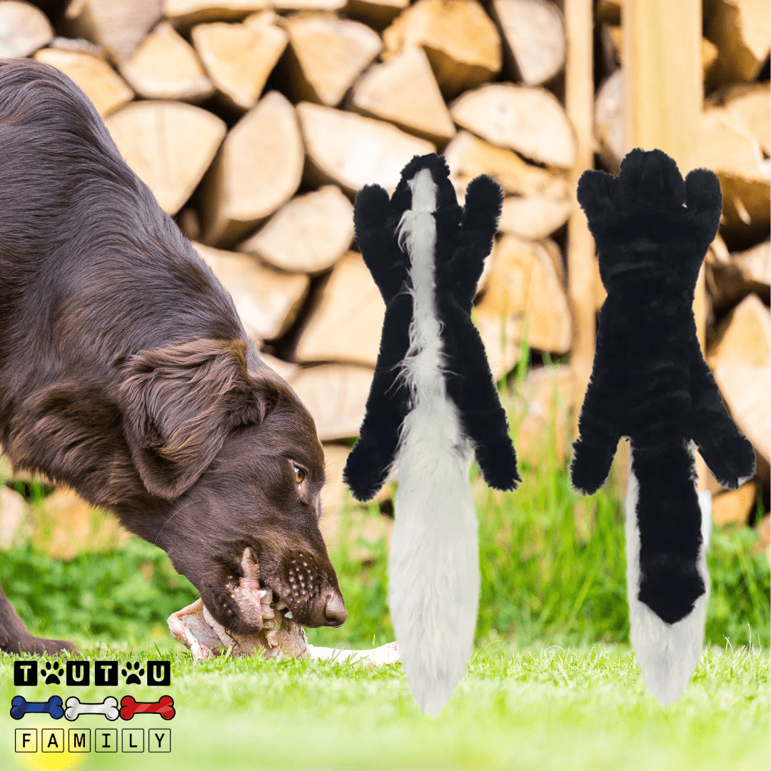 peluches_pour_chien-indestructible-doudou-solide-pour-chien-un-grand-chie-avec-sa-peluche-mouffette