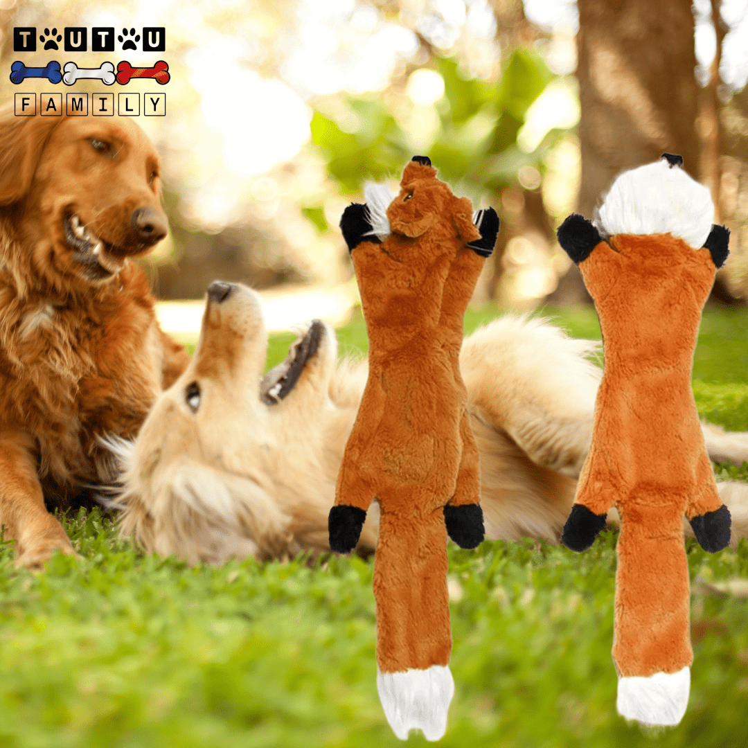 peluche_pour_chien_indestructible-doudou-solide-chien-deux-grand-chiens-qui-jouent-avec-leur-peluche-indestructible-avec-corde-intégré-renard