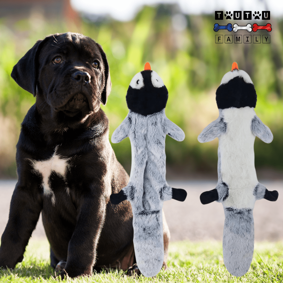 peluche_solide_pour_chien-indestructible-un-chiot-avec-sa-peluche-indestructible-pingouin