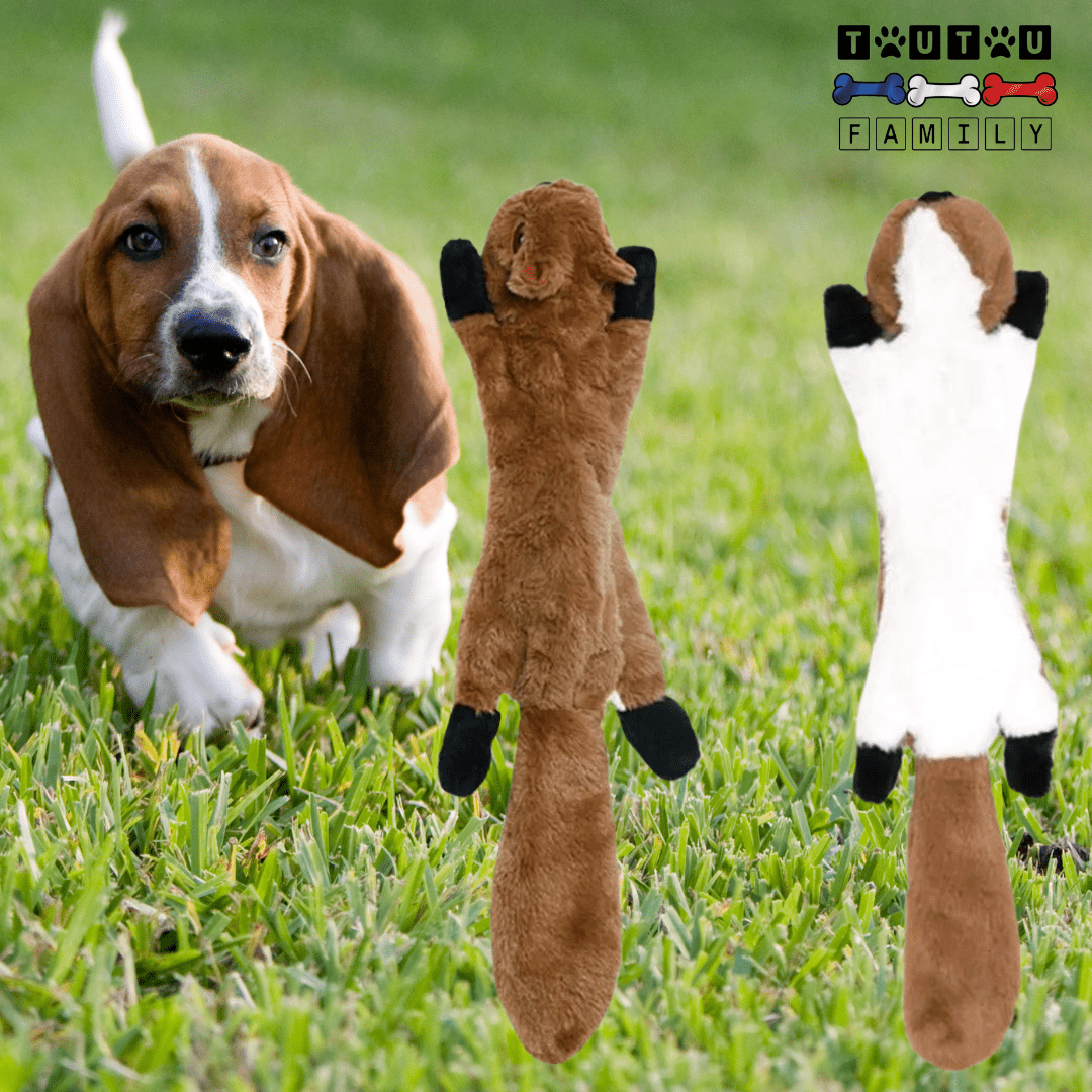 peluche_pour_chien-indestructible-doudou-solide-chien-un-chien-de-taille-moyenne-avec-sa-peluche-indestructible-écureuil