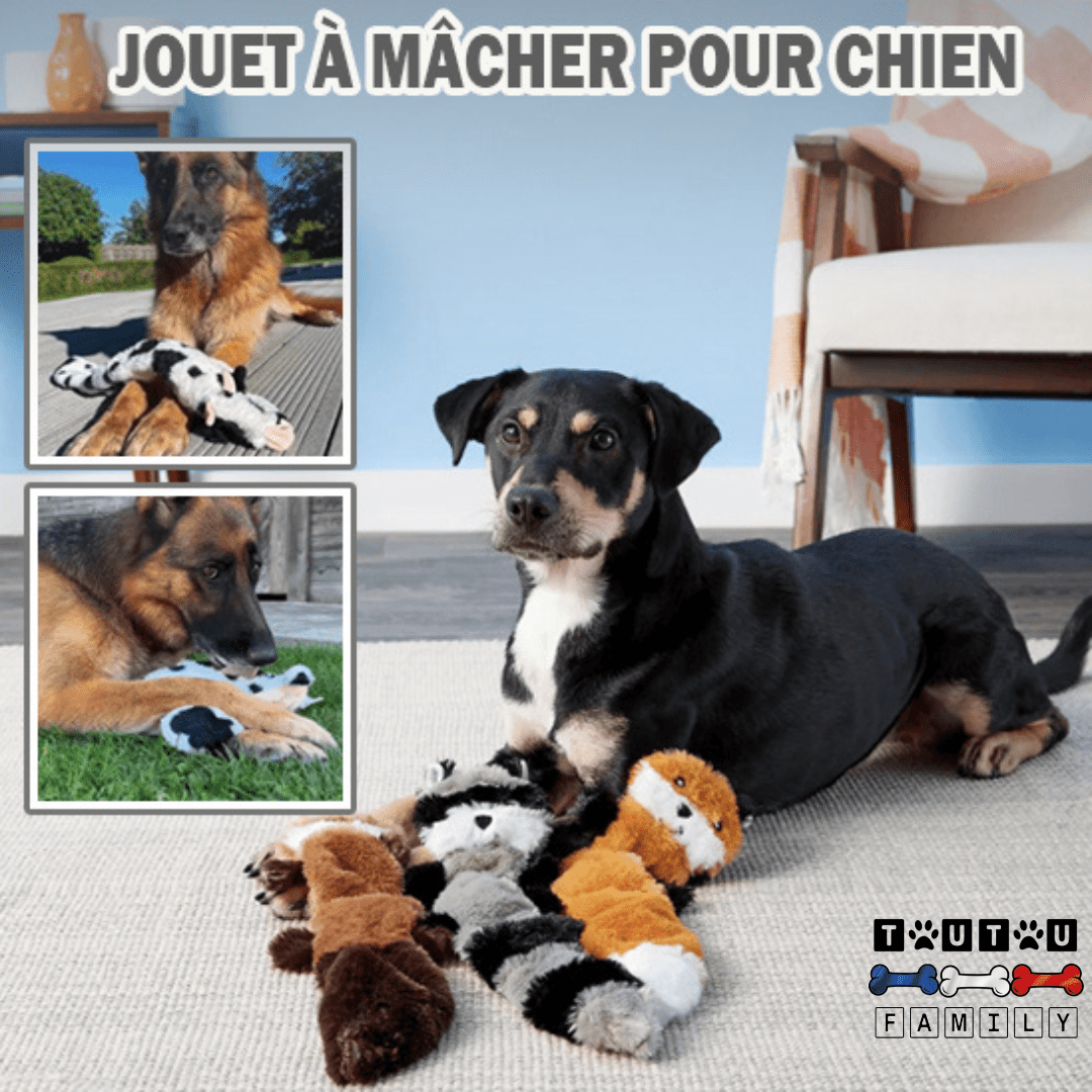 peluche-pour-chien-indestructible-sans-rembourrage-jouet-à-mâcher-pour-chien-un-chien-couché-avec-ses-trois-peluche-avec-avec-corde-renforcée