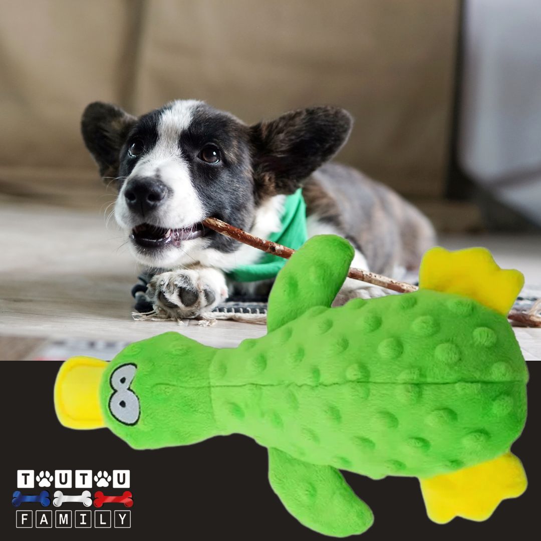 Peluche-pour-chien-couineur-canard-vert un chiot qui mordille avec sa peluche couleur verte canard doudou et jouet Ă mĂącher pour chien
