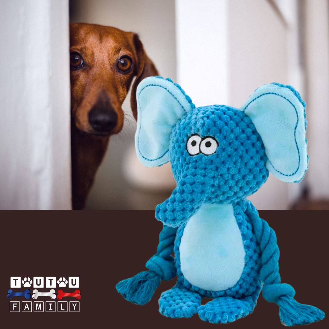 peluche-pour-chien-interactive-éléphant jouet à mâcher jouet anti anxiété de séparation stimulant anti ennui doudou pour chien solide avec couineur et bruit de papier froissé