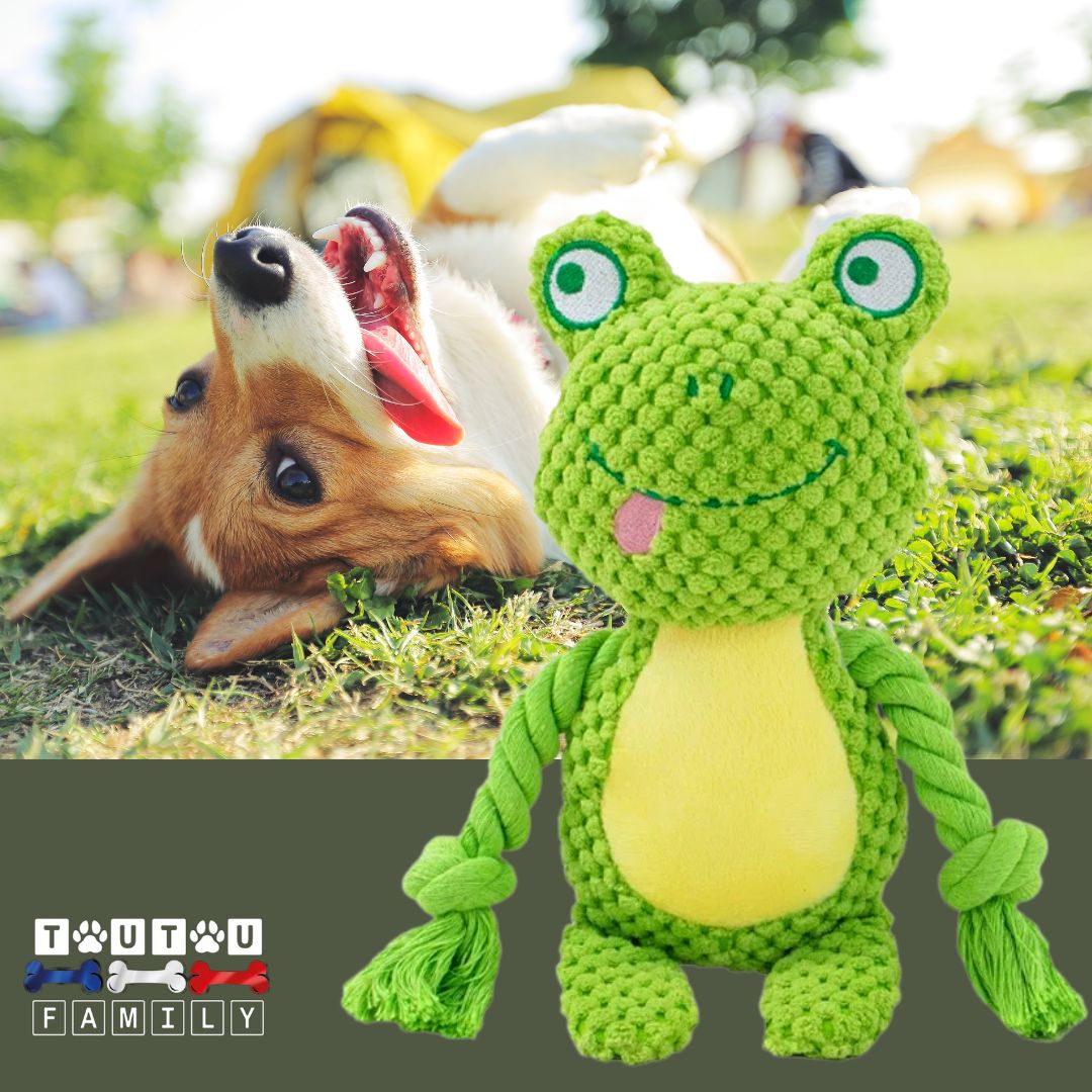peluche-pour-chien-interactive-grenouille qui couine et bruit de papier froissé avec deux cordes pour des jeux de traction ou jouet anti anxiété coton et velours matériau naturel écoresponsable
