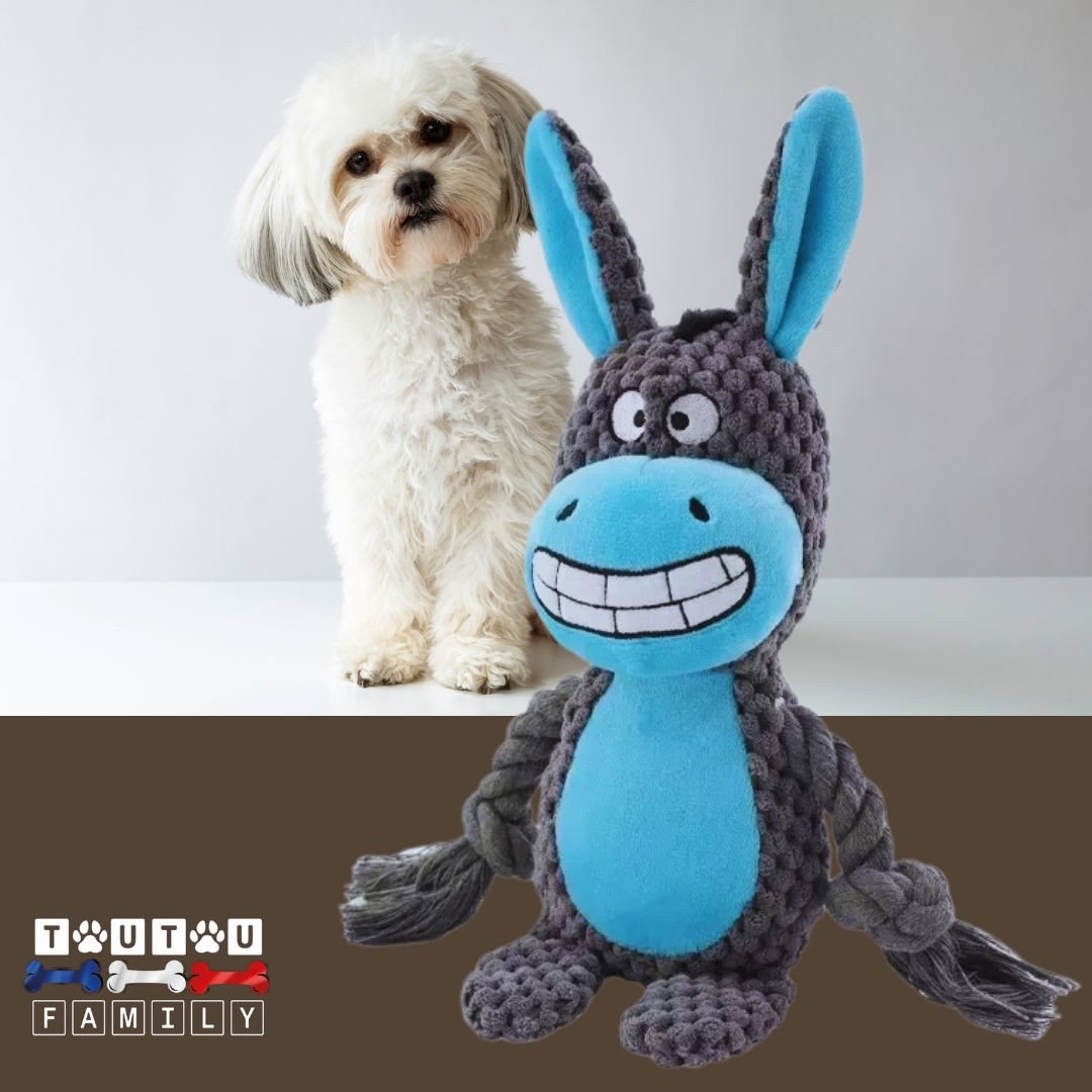 peluche-pour-chien-interactive-âne-un chien de petite taille avec sa peluche sonore avec corde