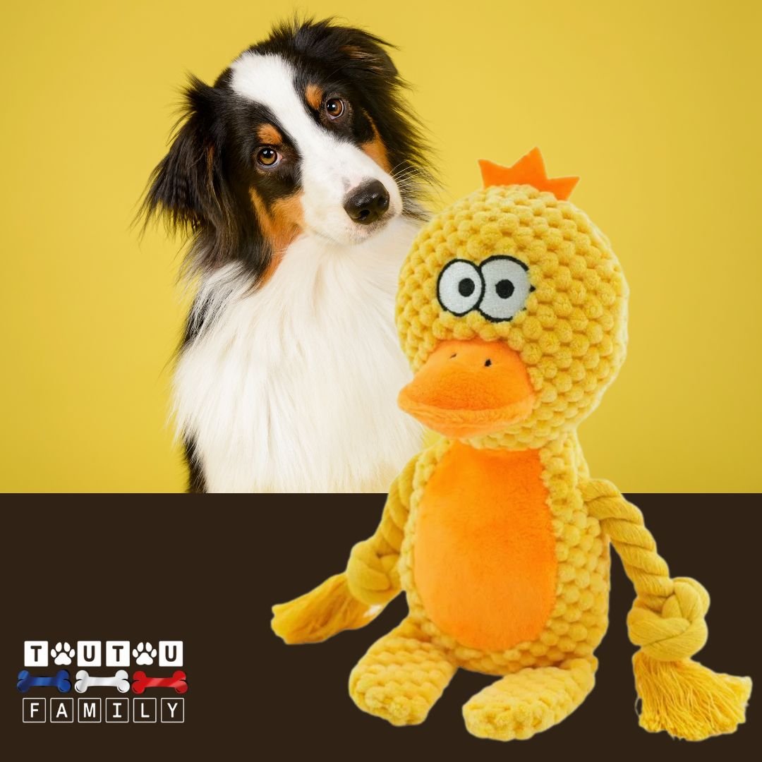 peluche-pour-chien-interactive-canari doux solide avec deux cordes pour des jeux de traction jouet à mâcher pour chiot chien de petite à moyenne taille
