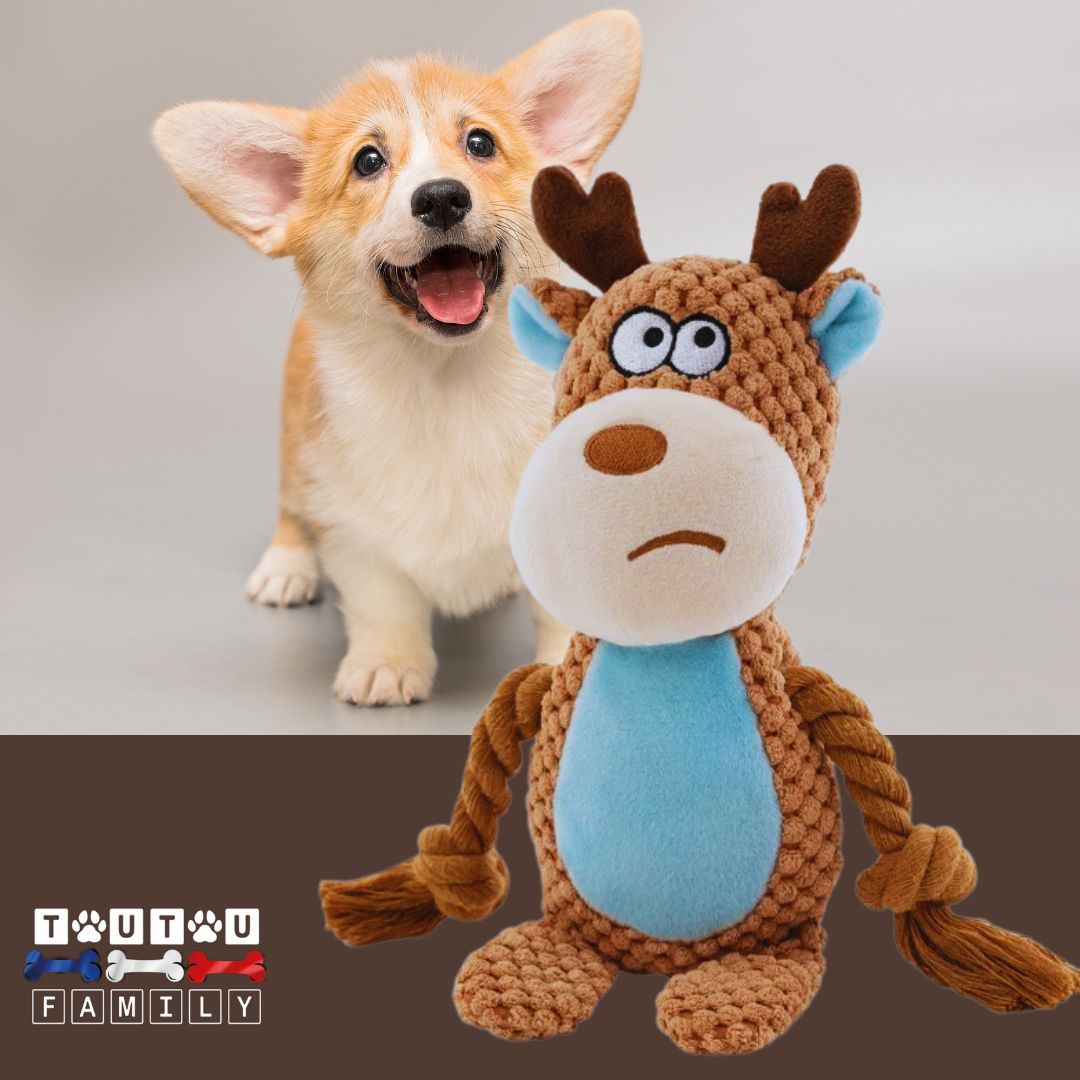 peluche-pour-chien-interactive-avec-corde-élan en coton et velours côtelé douce et solide pour doudou ou jeu de traction avec corde