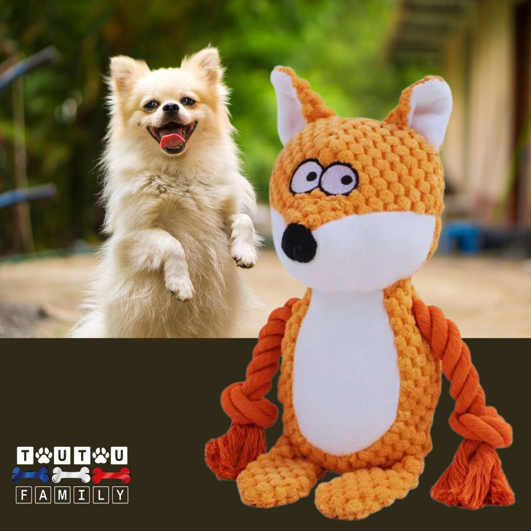 peluche-pour-chien-interactive-renard-un-petit-chien tout content qui attend que son maitre lui lance la peluche sonore et douce en coton avec ses deux cordes en coton
