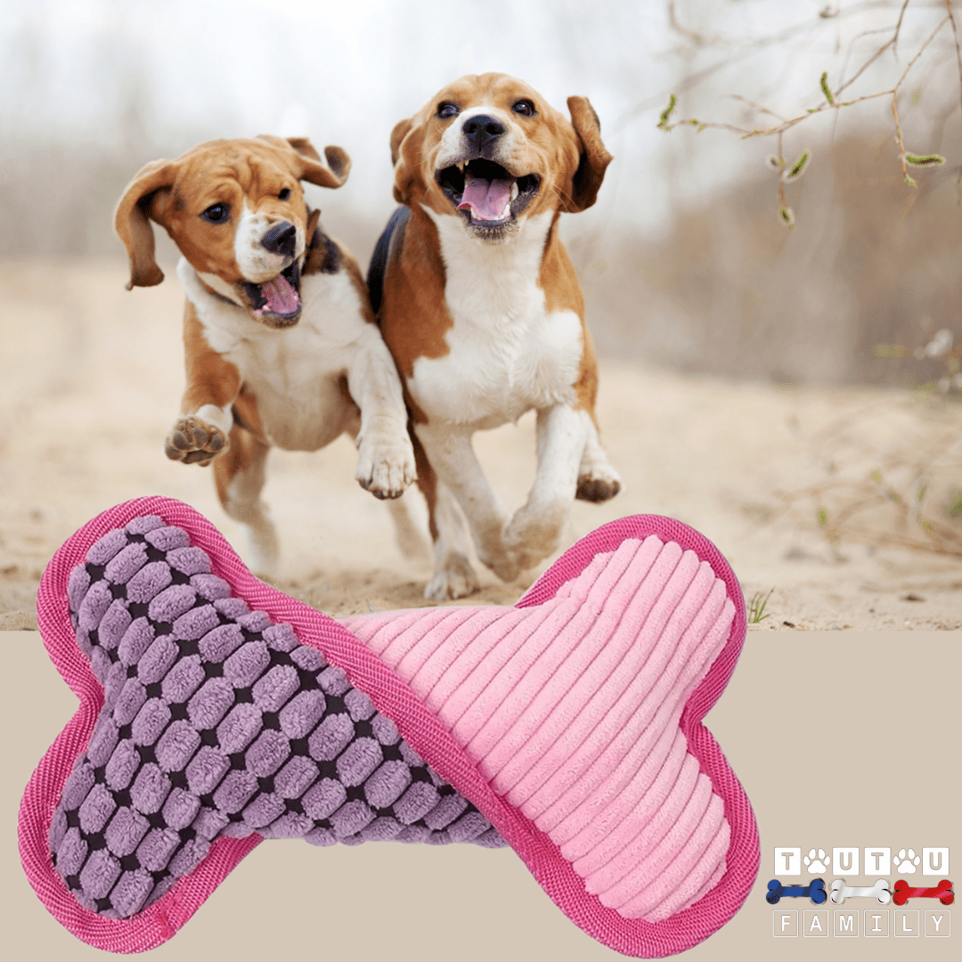 Peluche pour chien - OsToutouâą