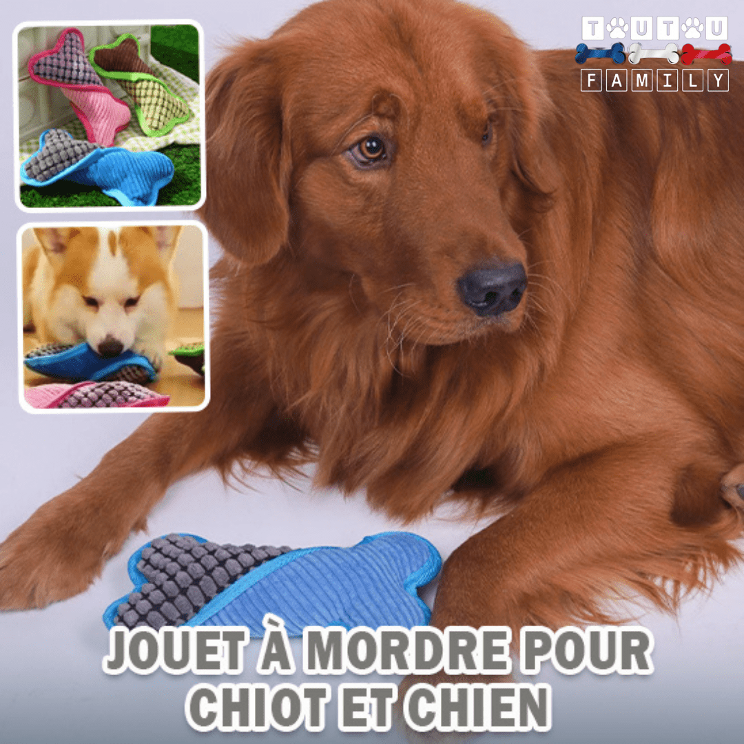 peluche-pour-chien-douce