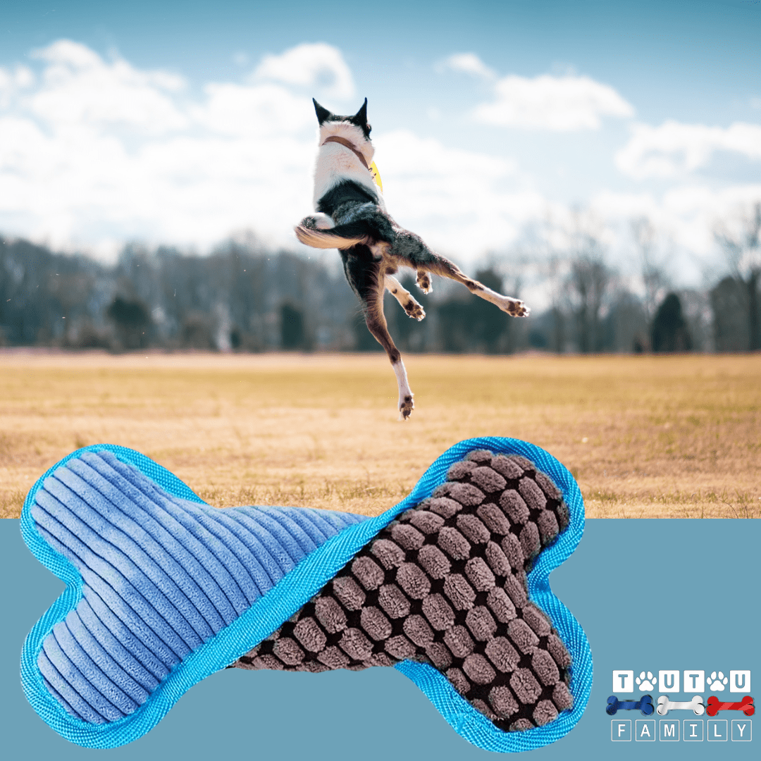 Peluche pour chien - OsToutouâą