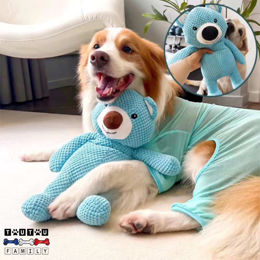 peluche-pour-chien-ours-bleu-jouet-pour-chien-un-jouet-sonore-avec-un-couineur-lorsque-le-chien-le-mord
