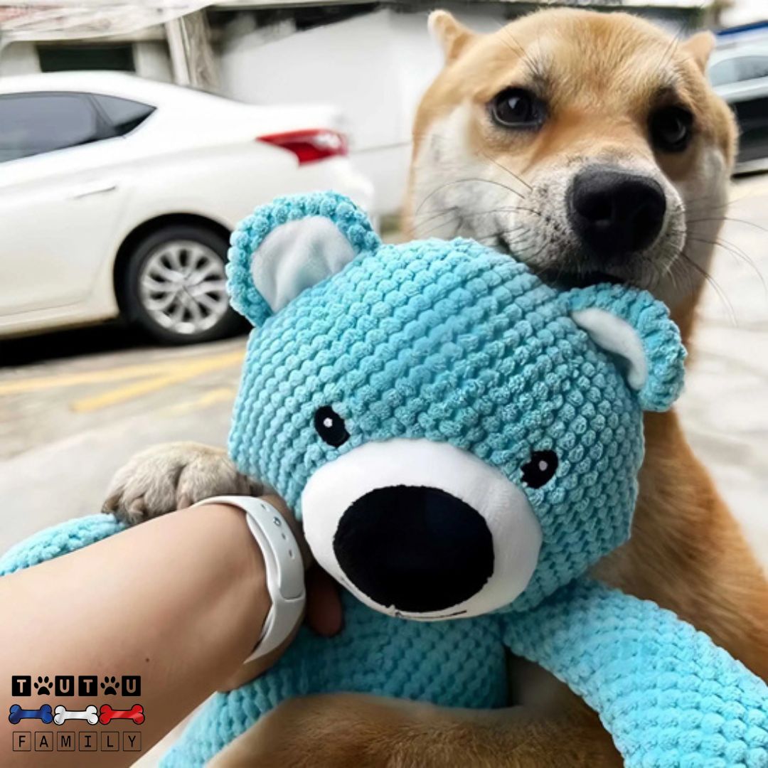 peluche-pour-chien-ours-bleu-solide-un-jouet-pour-chiens-de-toute-taille-et-chiot