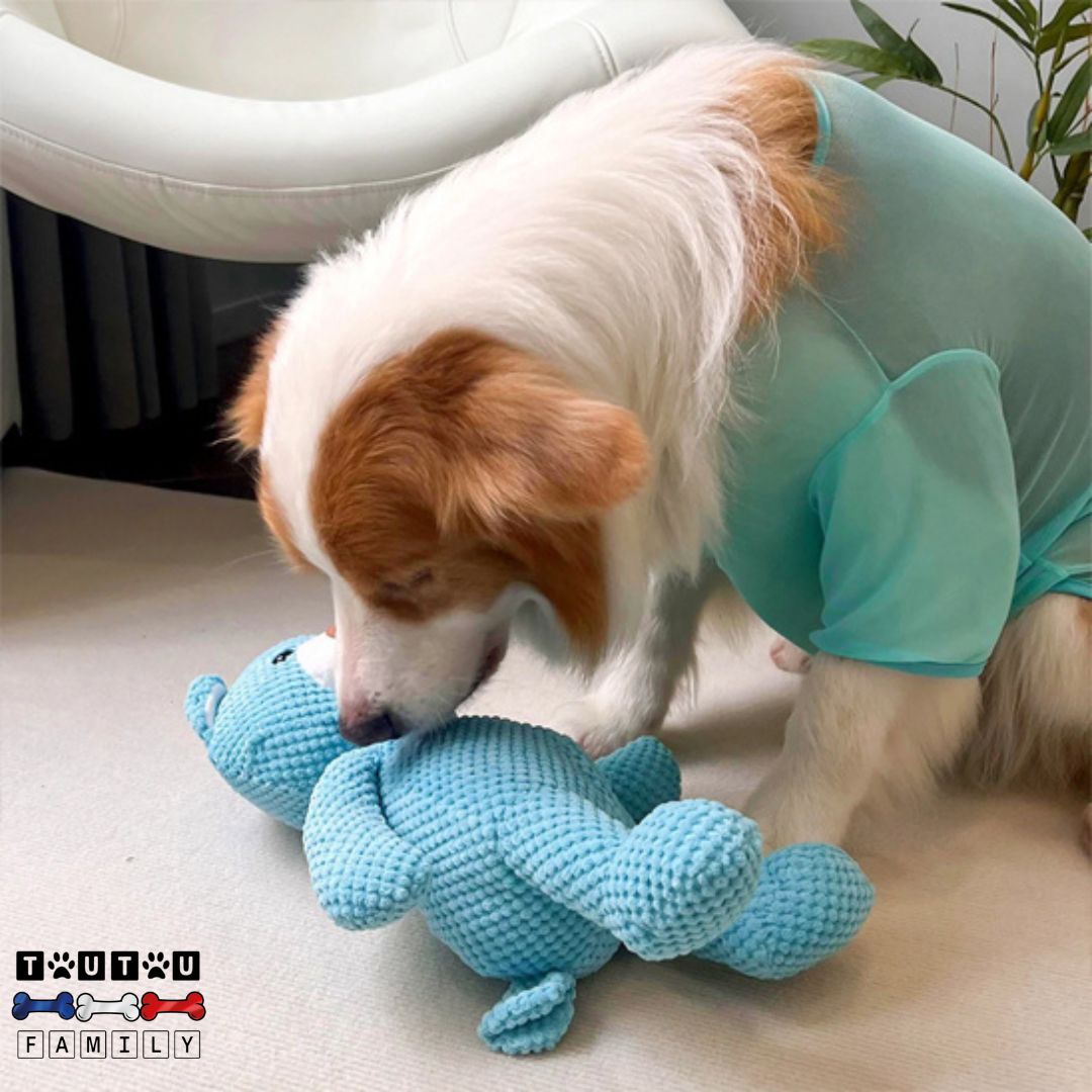 peluche-pour-chien-ours-bleu-résistant-à -mordre-et-à -mùcher-apaisant-réconfortant-et-doux