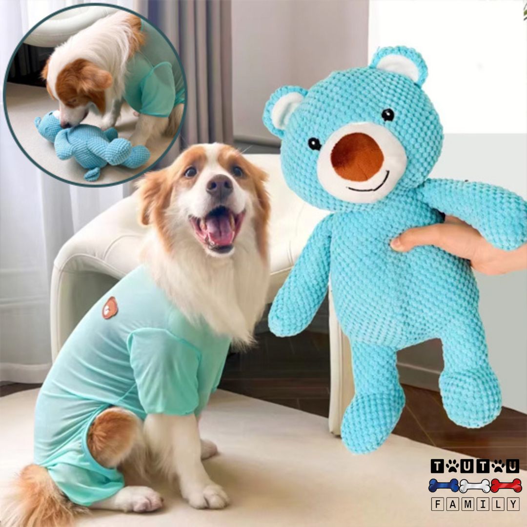 peluche-pour-chien-ours-bleu-hygiene-dentairejouet-pour-chien-Ă -mĂącher-doux-et-indestructible