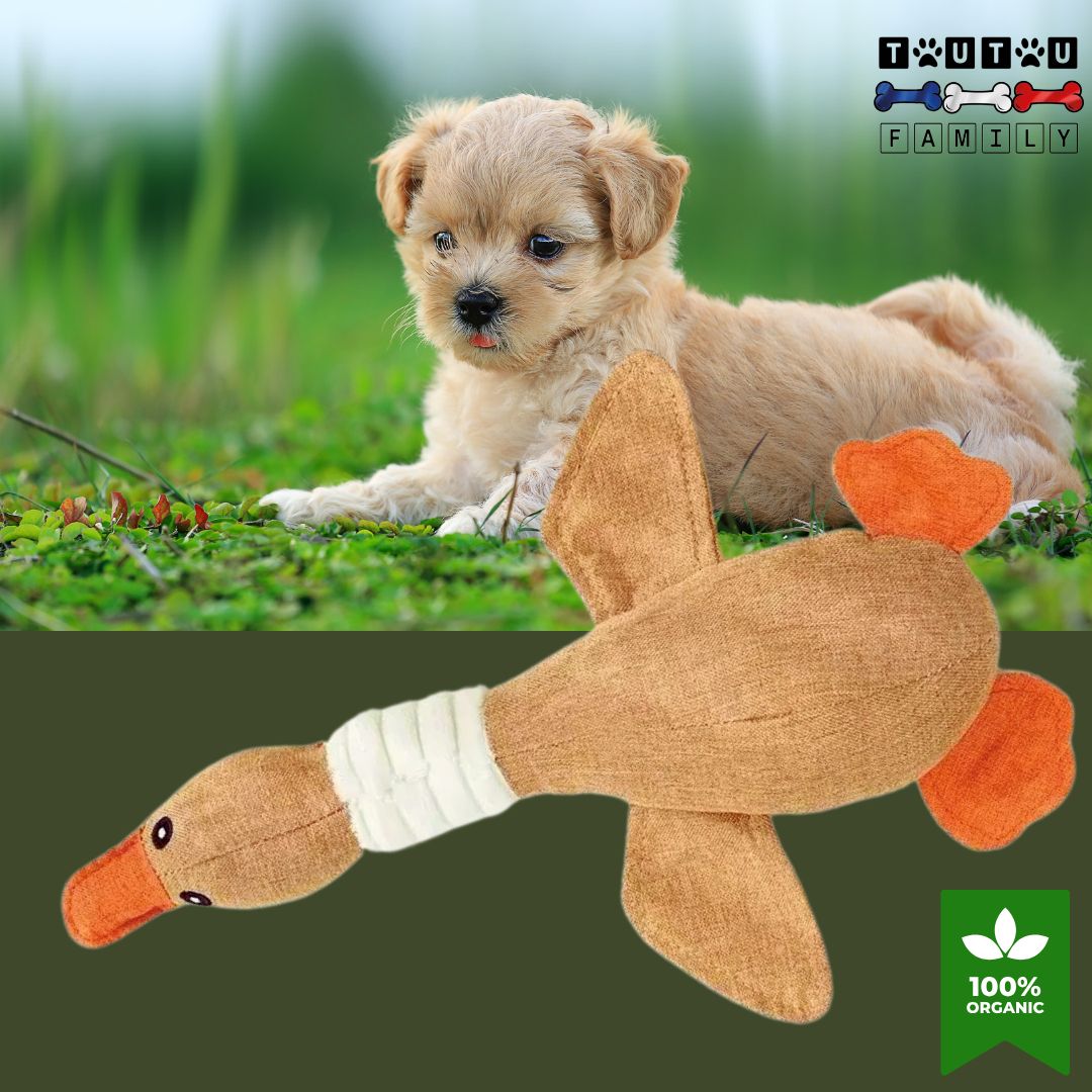 peluche-pour-chien-oie-marron