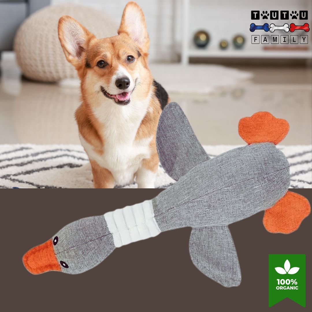 peluche-pour-chien-oie-grise