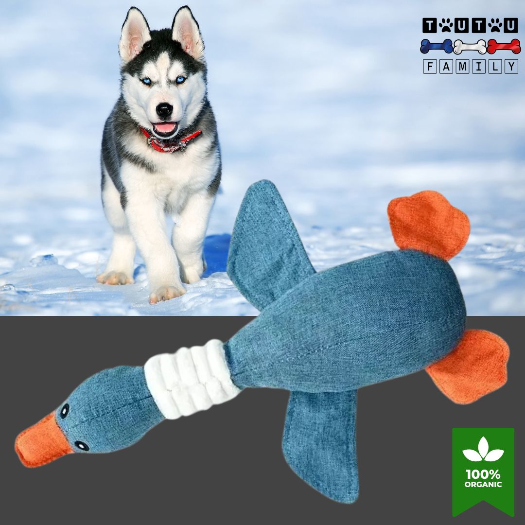peluche-pour-chien-oie-bleue