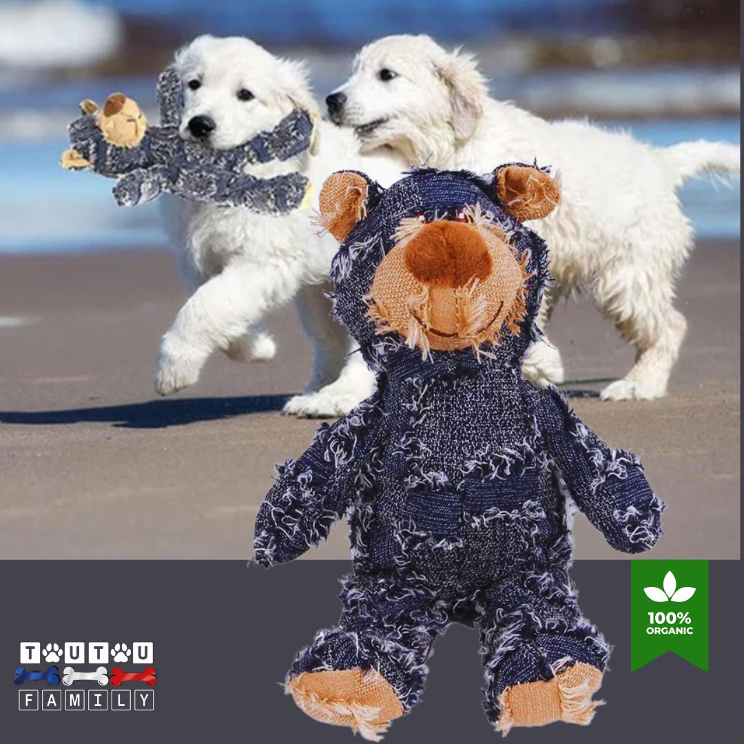 Peluches-pour-chien-bleu-deux-chiots-qui-courent-sur-la-palge-avec-leur-peluche-ours-solide-dans-leur-mĂąchoires