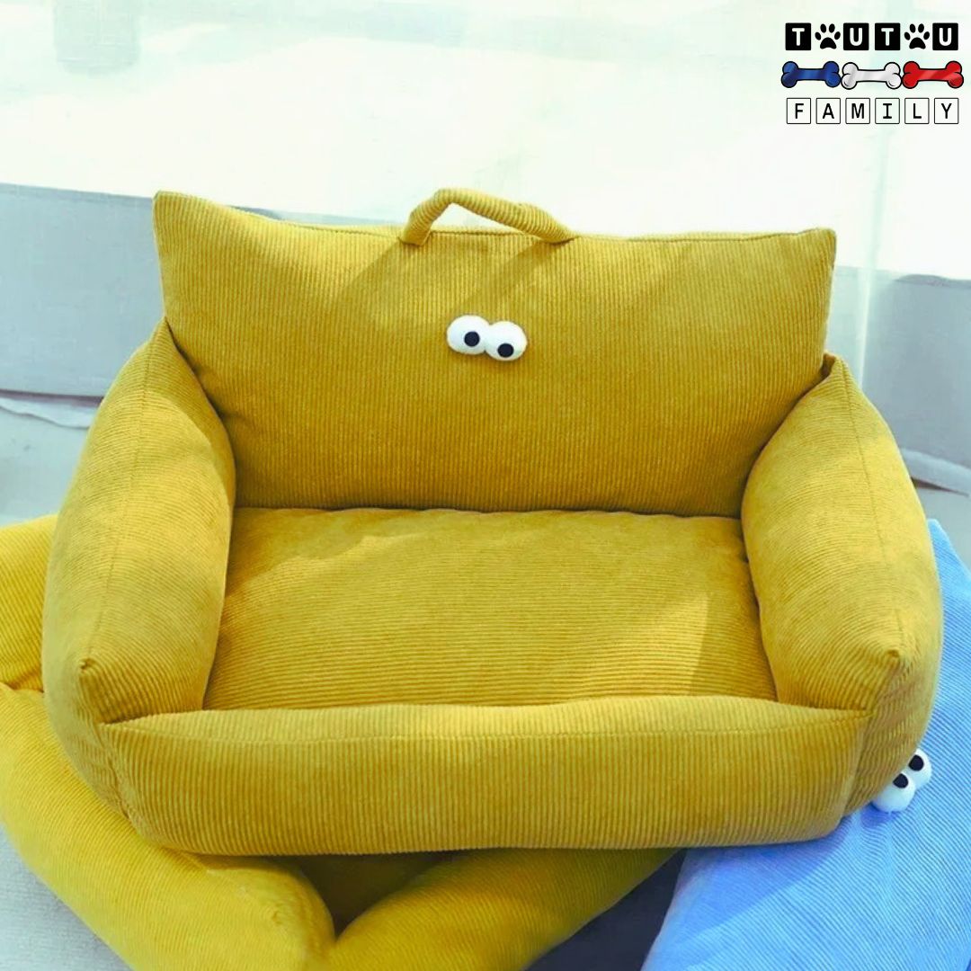 Petit-canape-pour-chien-resistant-design