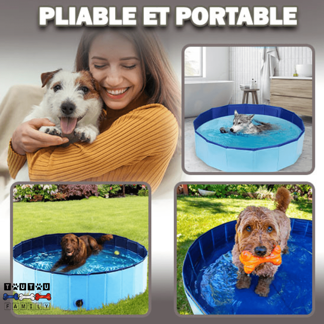 Piscine rigide pour chien  - CoolToutou™
