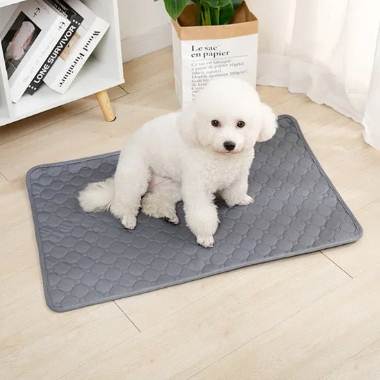 Tapis absorbant chien - AlĂšseToutouâą
