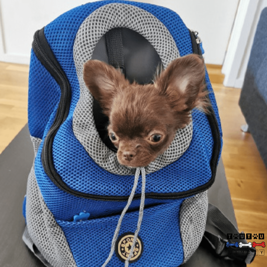 Sac à dos pour chien - PorteToutou™