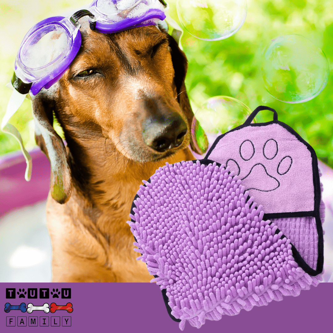 Serviette pour chien - AbsorbeToutou™
