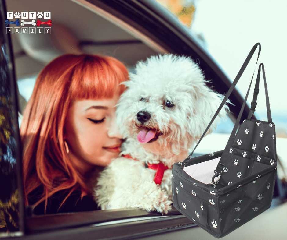 Siège auto chien - SiègeToutou™