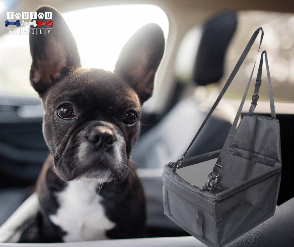 Siège auto chien - SiègeToutou™