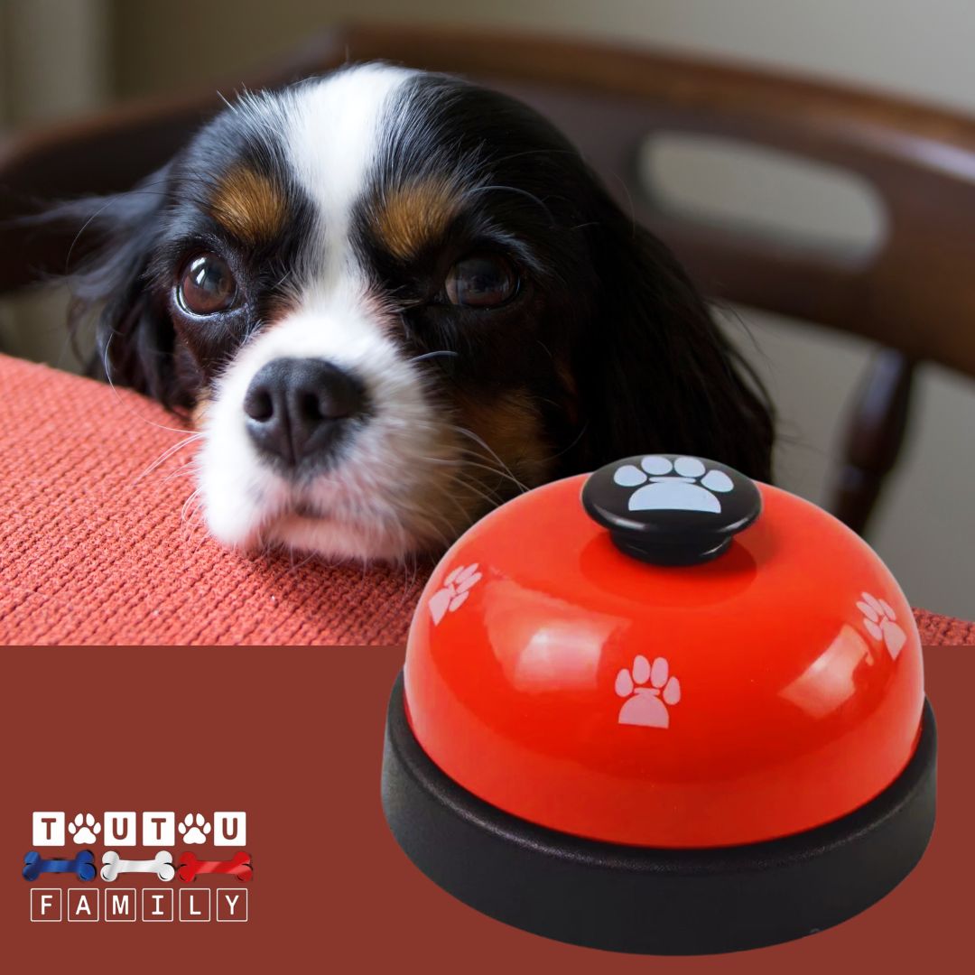 Sonnette-pour-chien-rouge-boutons-de-communication-pour-chien-sans-fil-sans-piles