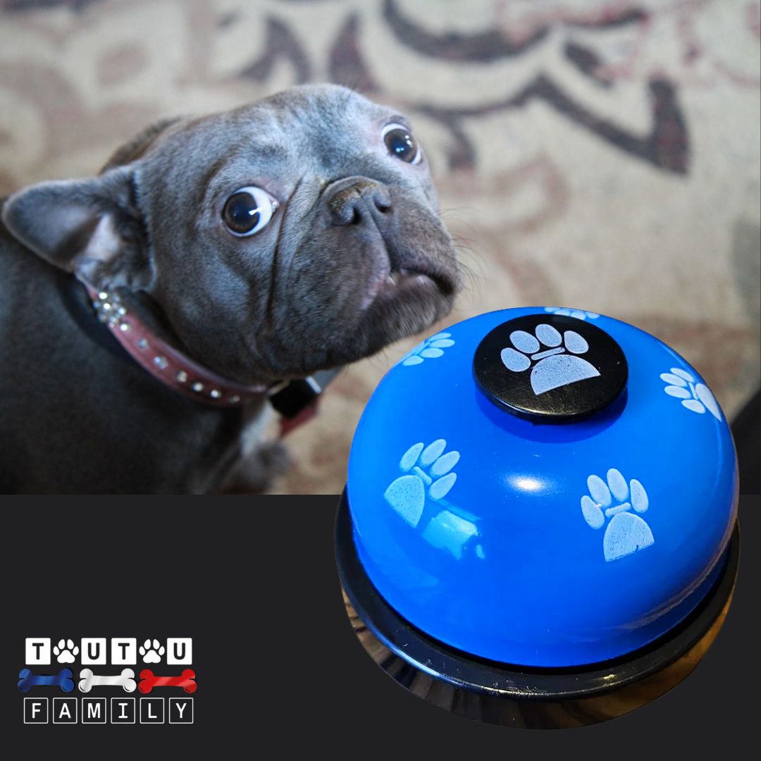 Sonnette-pour-chien-bleu-cloche-éducative-pour-chiens-intelligents