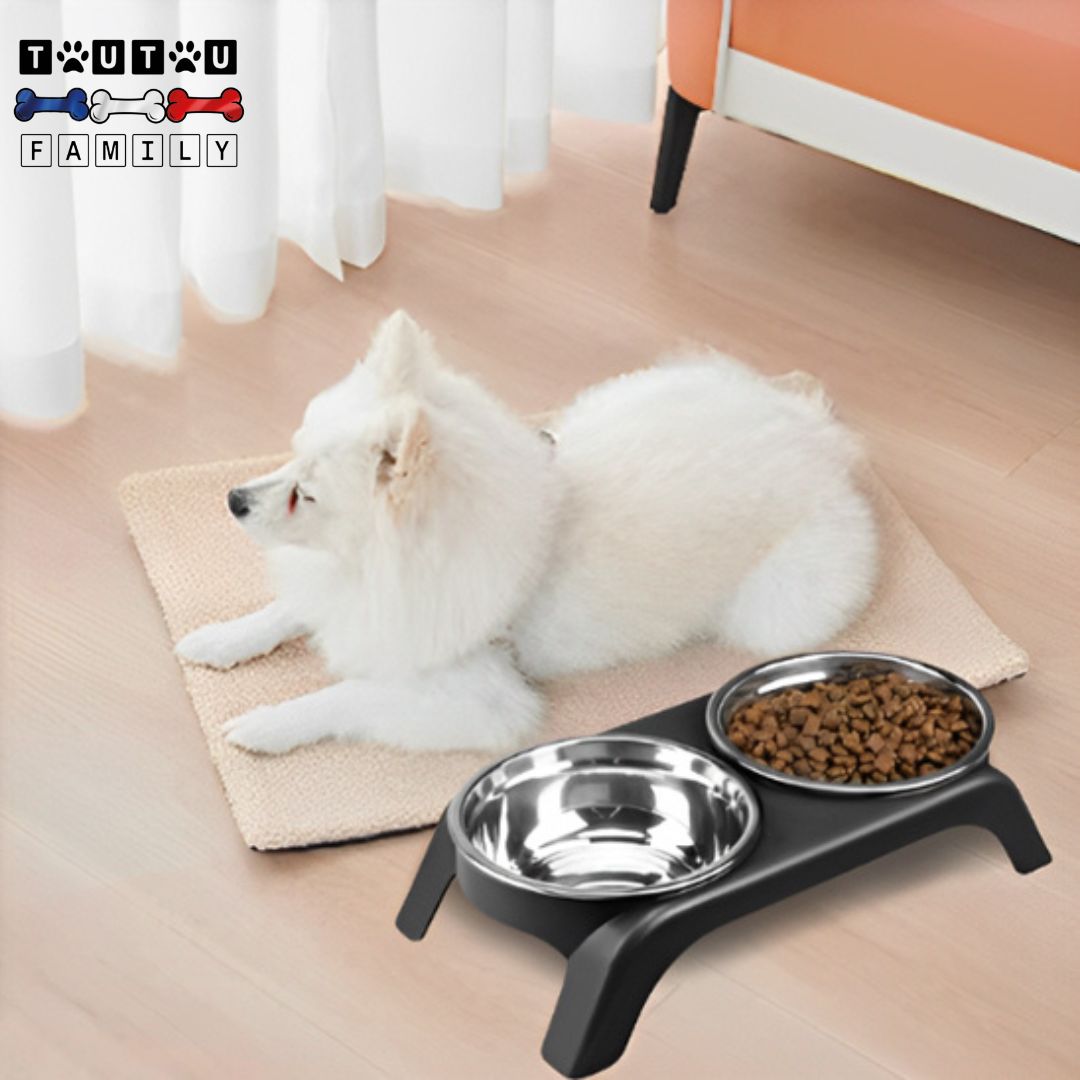 Support-gamelle-pour-chien-chiot-2-gamelles-inox-un-petit-chien-couché-à-cÎté-de-sa-gamelle-surélevées-avec-le-sol-de-la-maison-propre