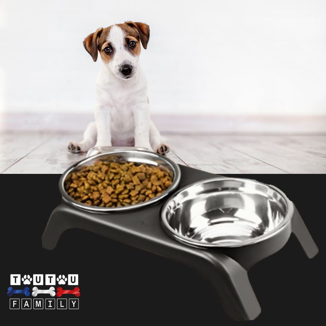 Support-gamelle-pour-chien-chiot-support-gris-gamelle-double-inox-pour-chien-de-petite-taille-ou-chiot