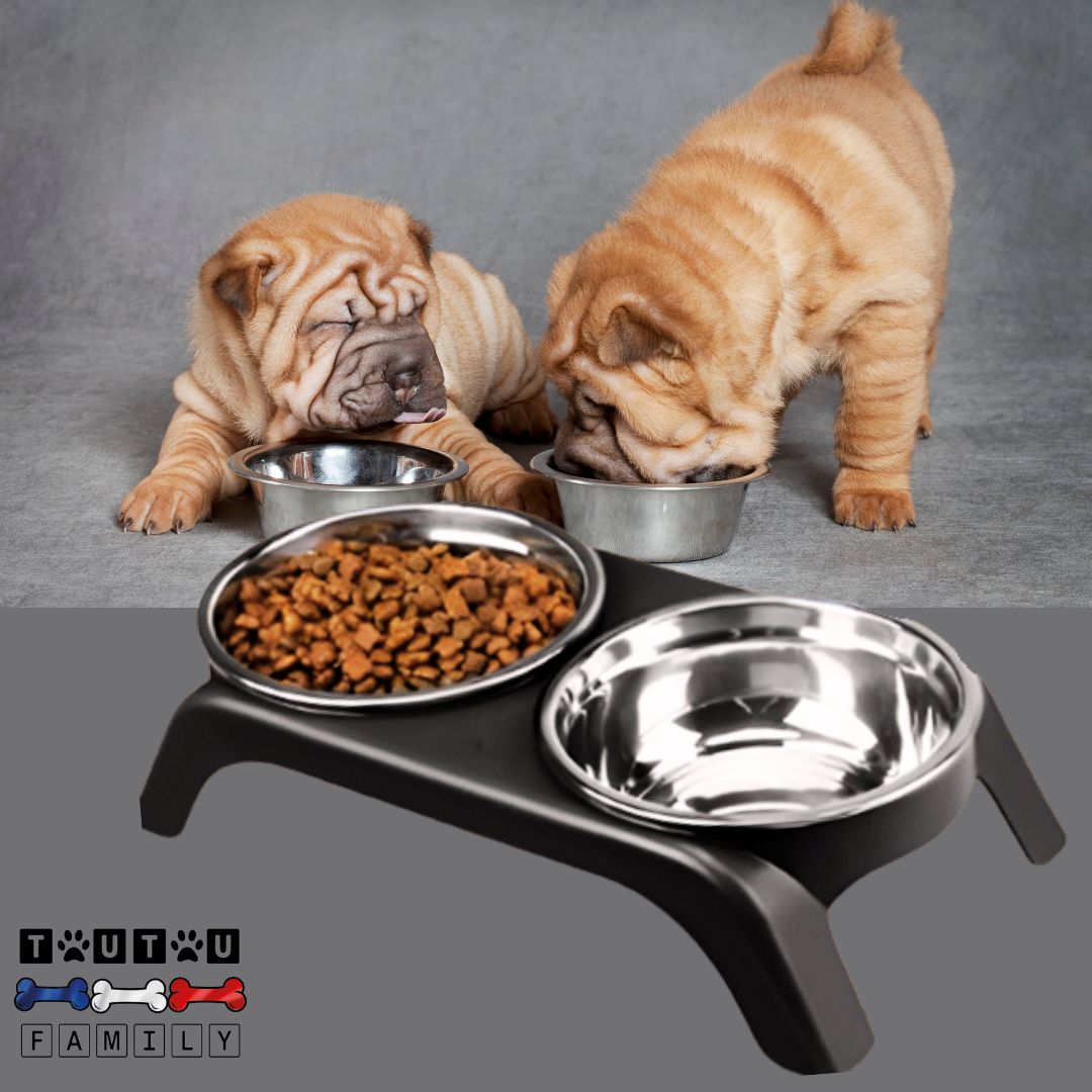 Support-gamelle-pour-chien-chiot-support-noir-gamelle-double-inox-pour-chien-de-petite-taille-et-chiot