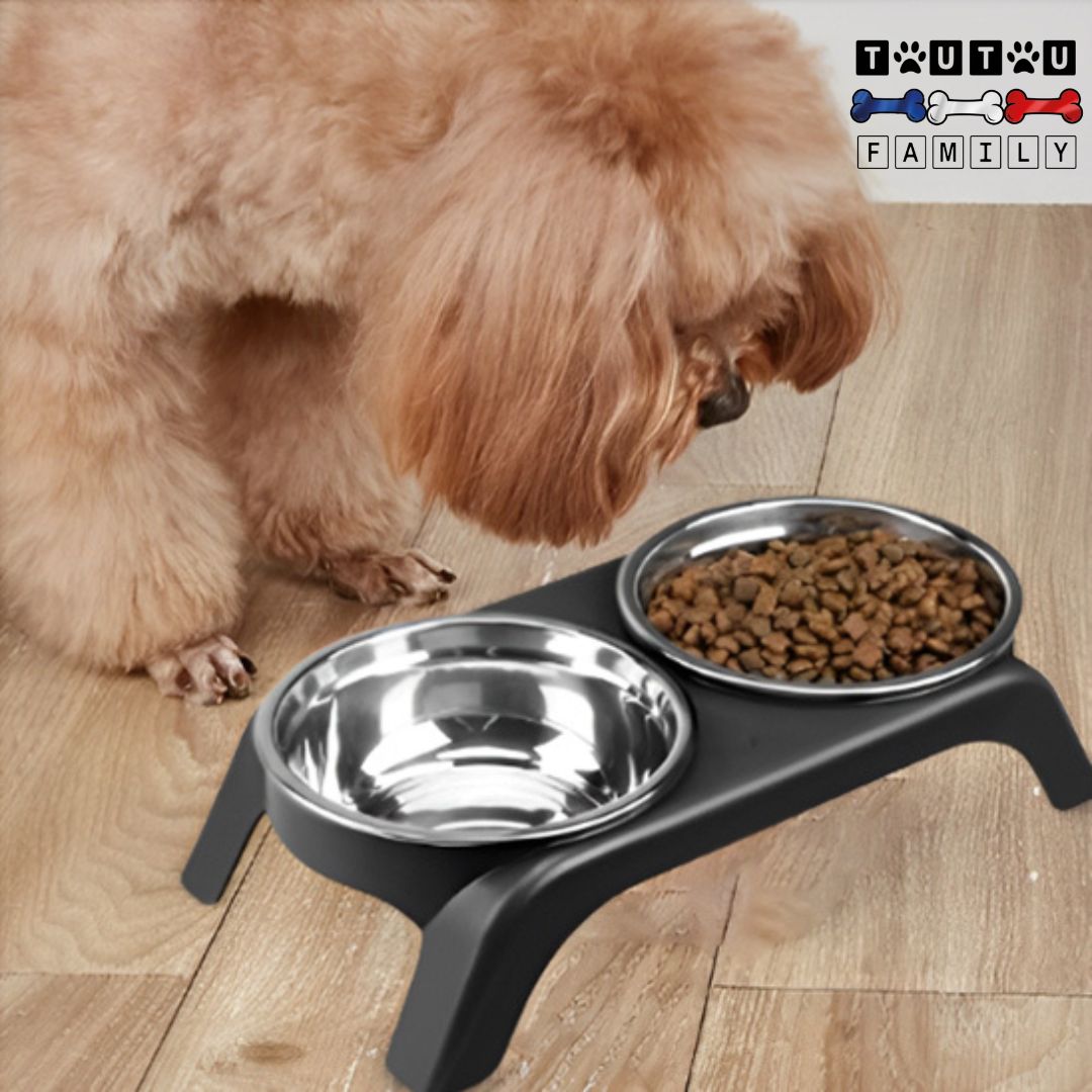 upport-gamelle-pour-chien-chiot-anti-renversement-un-caniche-qui-mange-proprement-dans-ses-gamelles-en-inox-surélevées