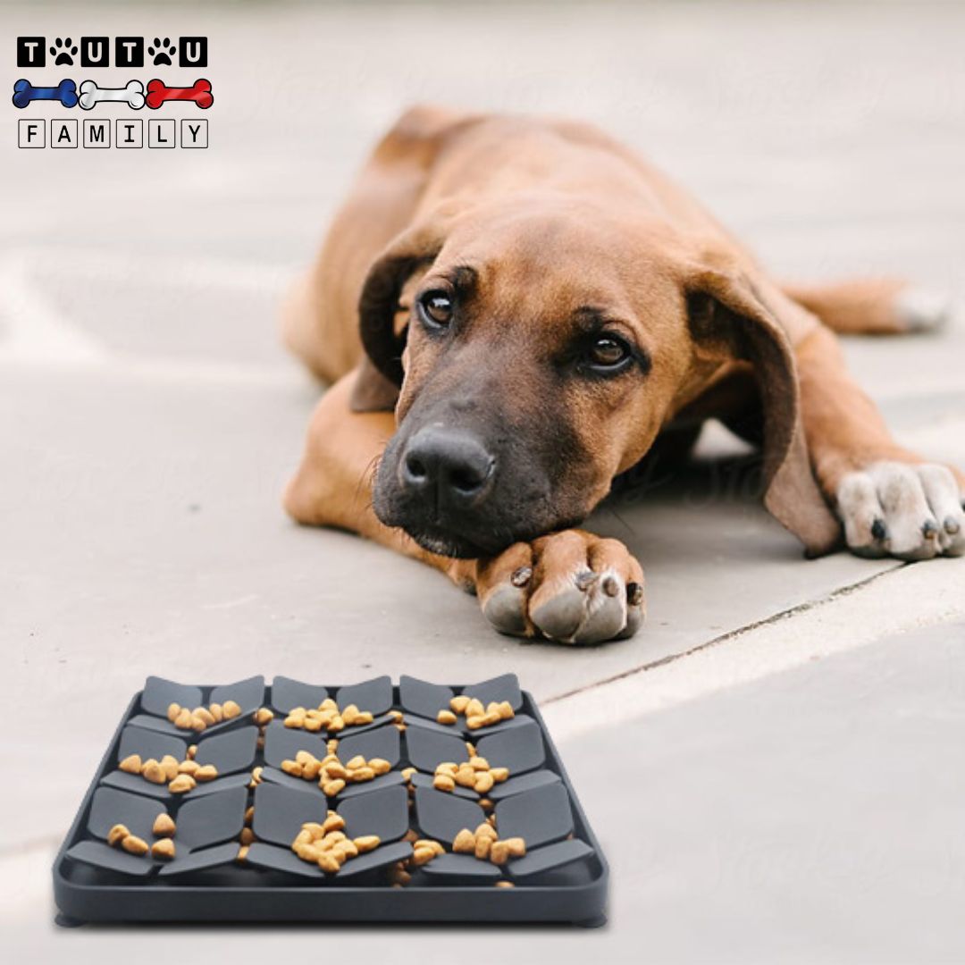 Tapis-anti-glouton-chien-gamelle-anti-glouton-tapis-2-en-1-tapis-anti-glouton-et-tapis-de-léchage-pour-chien-un-chien-calme-aprÚs-avoir-utilisé-son-tapis-d-alimentation-ente