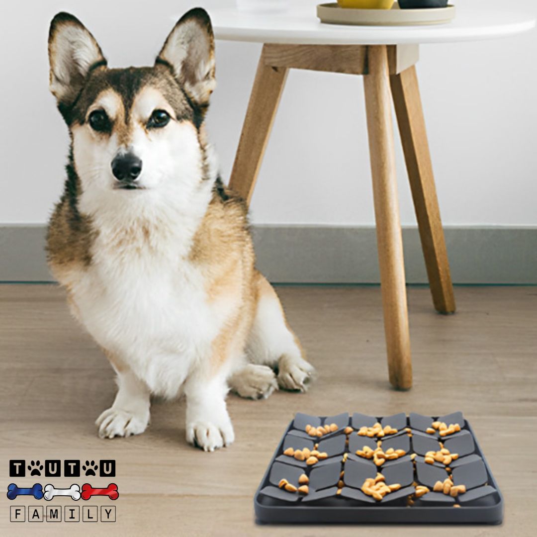 Tapis-anti-glouton-chien-tapis-de-fouille-silicone-un-chien-de-taille-moyenne-avec-son-tapis-de-léchage-et anti-glouton-rempli-de-croquettes-cachées