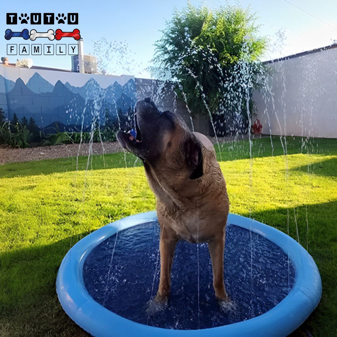 tapis-d-eau-pour-chien-piscine-tapis-rafraichissant-pour-chien-avec-jet-d-eau-sans-BPA-et-sans-danger-de-noyade-pour-les-chiens-qui-aiment-pas--nager-mais-aiment-se-rafraichir-et-jouer-avec-des-jets-d-eau