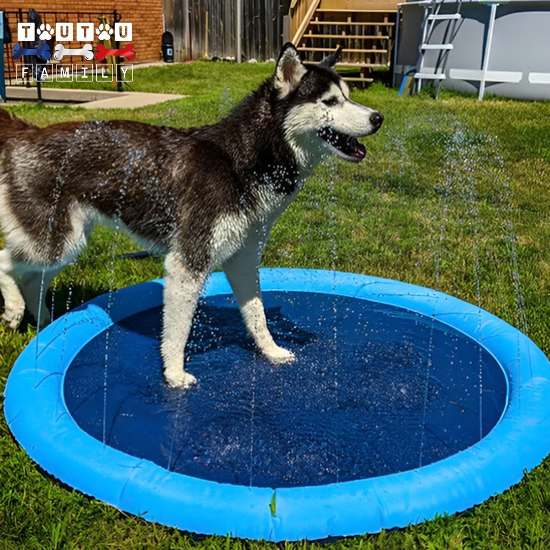 tapis-d-eau-pour-chien-rafraichissant-universelle-avec-adaptateur-au-tuyau-d-arrosage-hydrate-les-chiens-et-amuse-avec-ses-jet-d-eau-pour-l-extérieur-résistante-au-griffe-pataugeoire-pour-chien-arrose-le-jardin